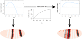 Figure 5—figure supplement 3.