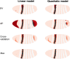 Figure 2—figure supplement 2.