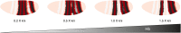 Figure 5—figure supplement 1.