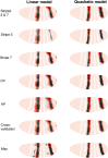 Figure 4—figure supplement 3.