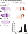 Figure 4—figure supplement 2.