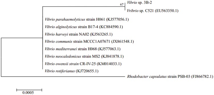 FIGURE 2