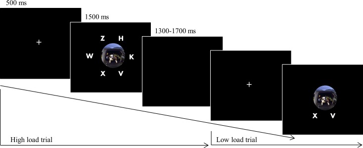 Fig 2