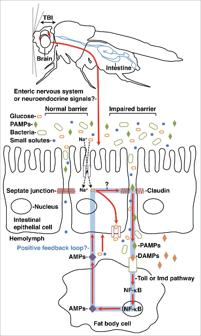 Figure 2.