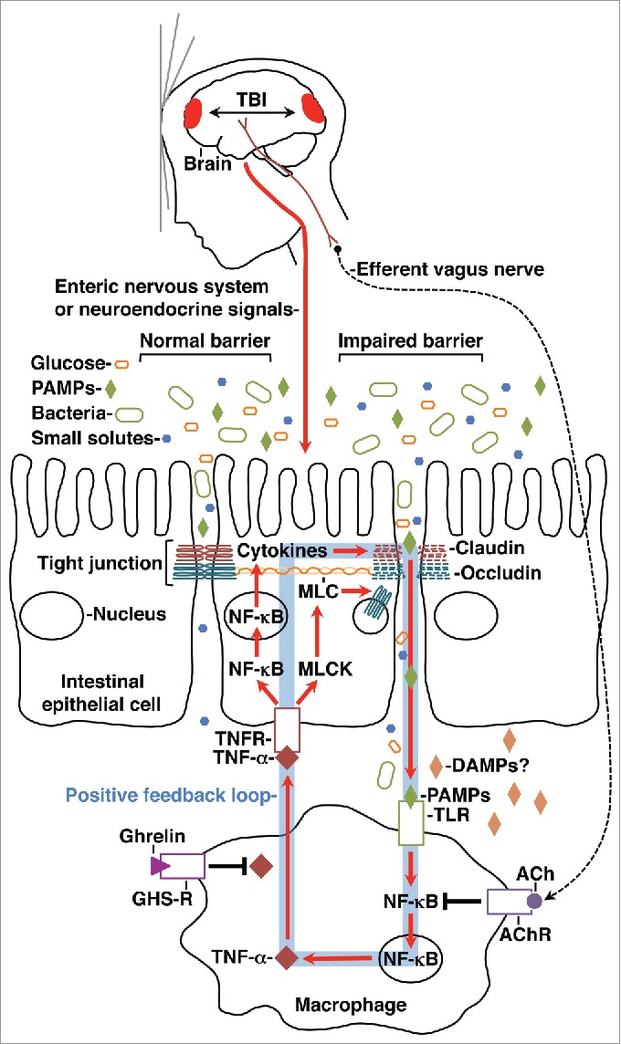 Figure 1.