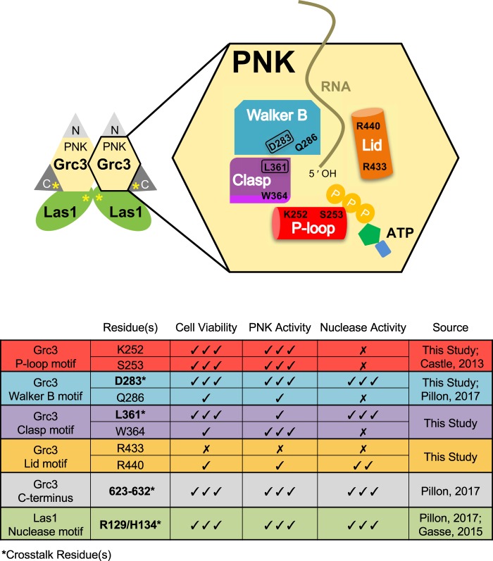 FIGURE 11.