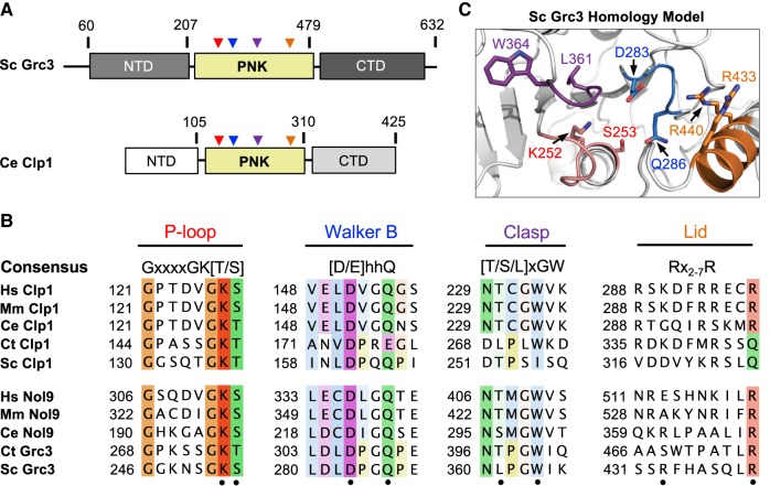 FIGURE 4.