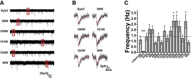 Figure 2.