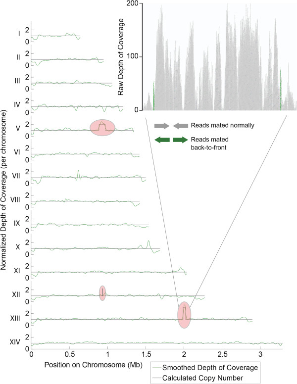 Figure 5