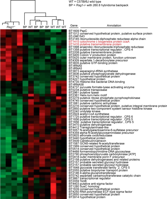 FIGURE 10.