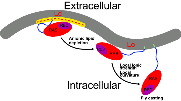 Fig. 7