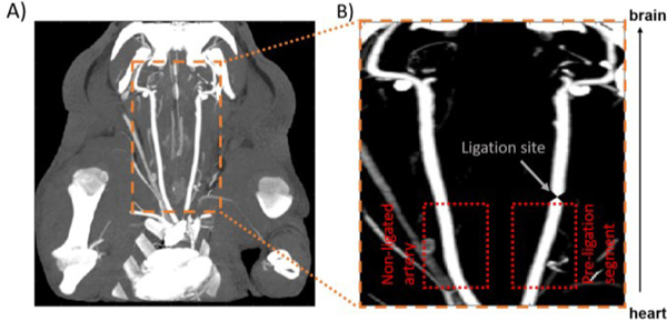 Figure 3: