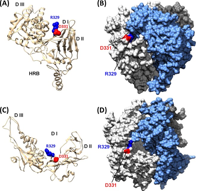 FIG 12