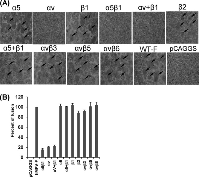 FIG 1