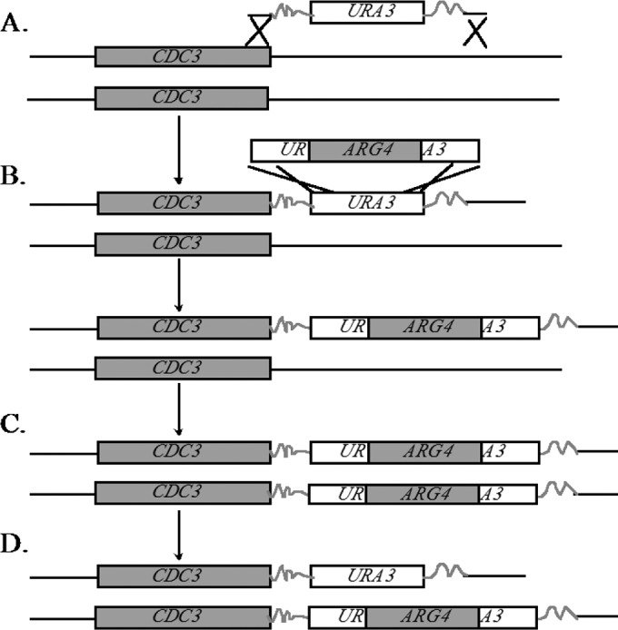 FIG 1