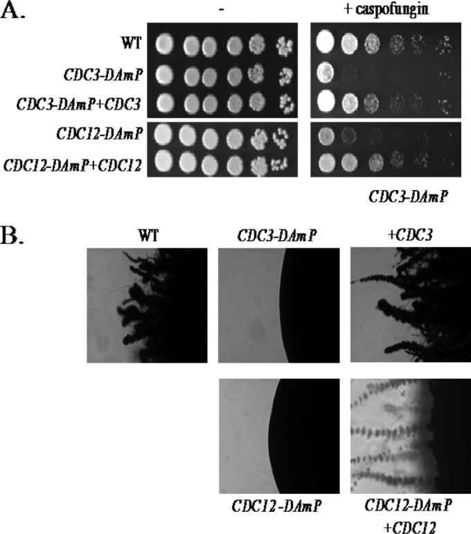 FIG 3