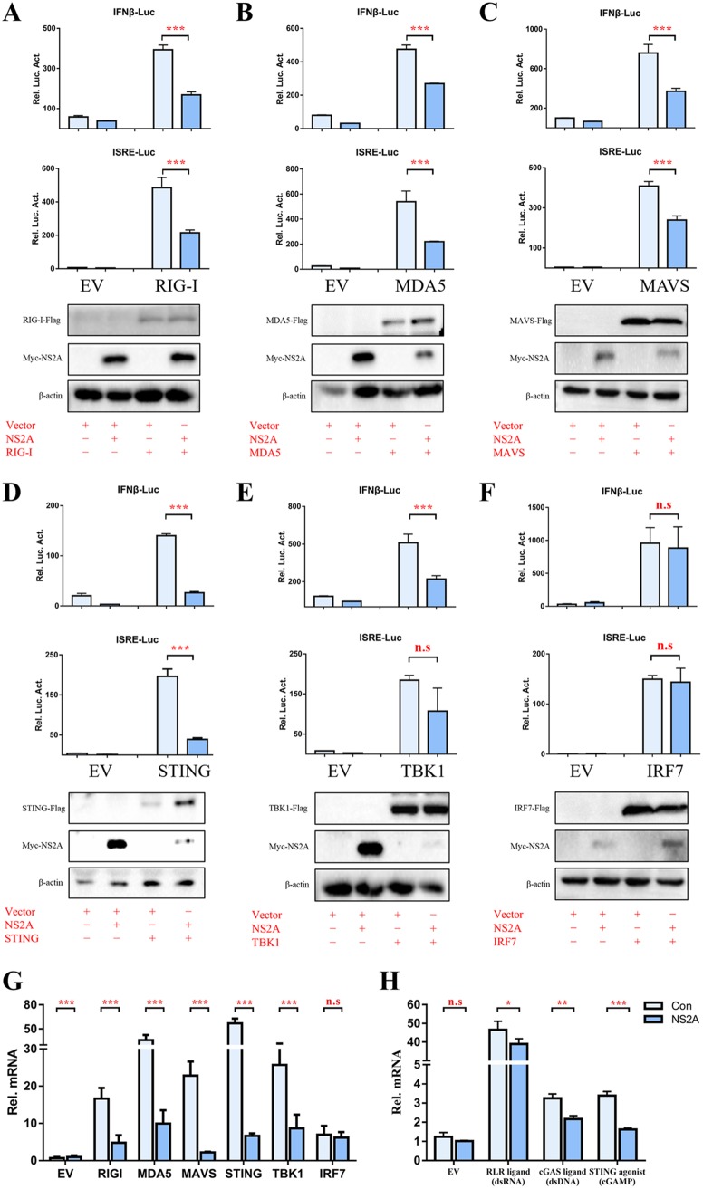 FIG 4