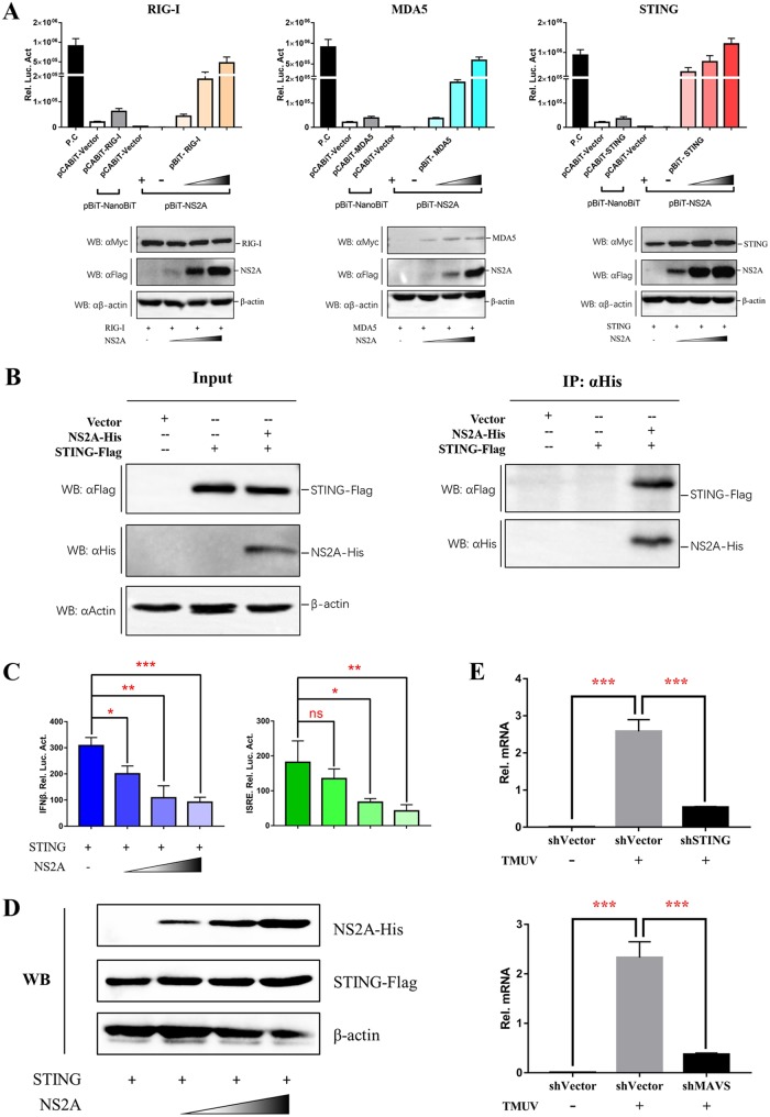 FIG 6