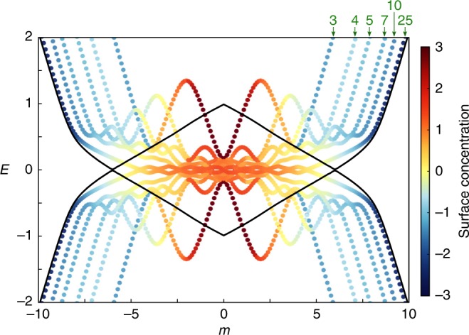 Fig. 3