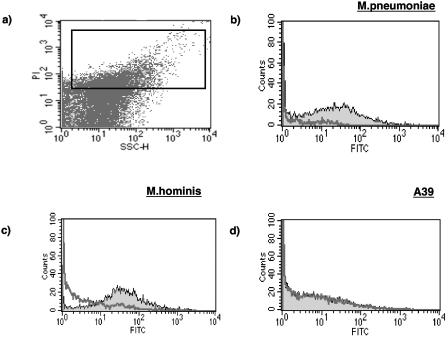 FIG. 1.