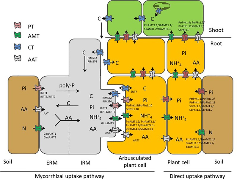 Figure 6