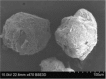 Figure 2b