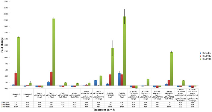 Figure 2