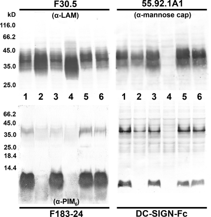 FIG. 4.