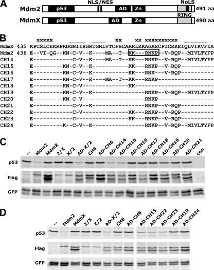 FIGURE 2.