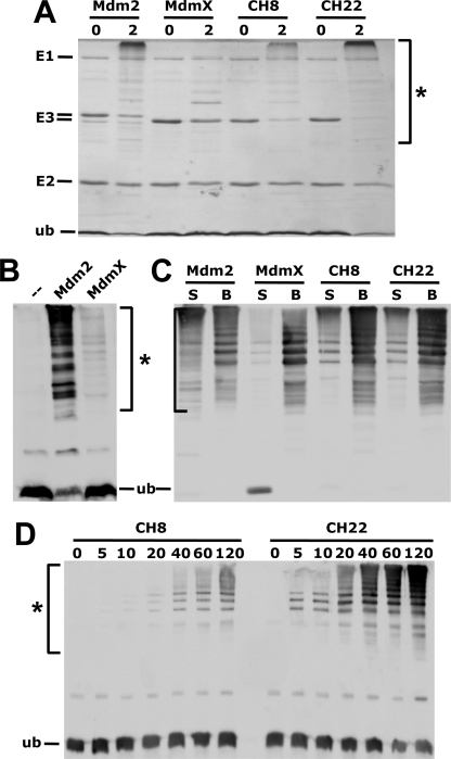 FIGURE 5.