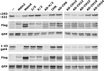 FIGURE 4.