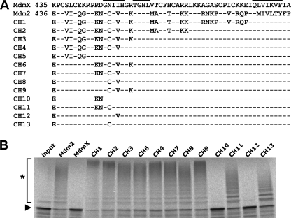 FIGURE 1.