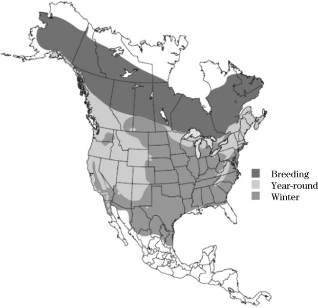 Figure 2a