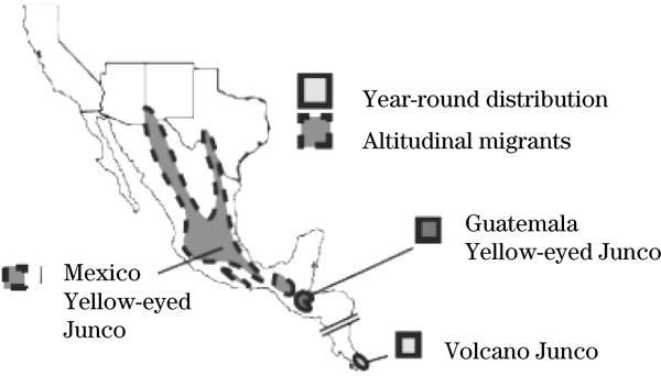 Figure 2e