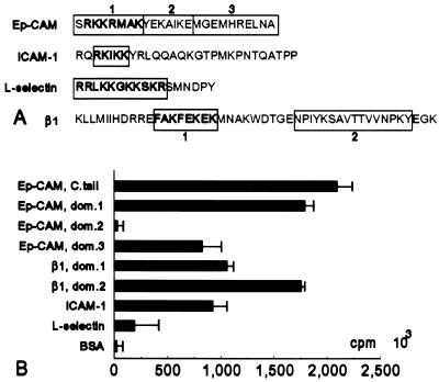 FIG. 11