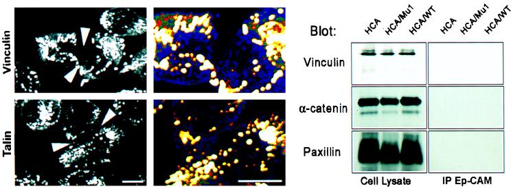 FIG. 10