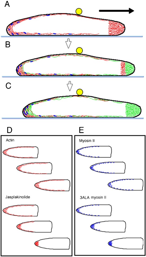 Fig. 8.