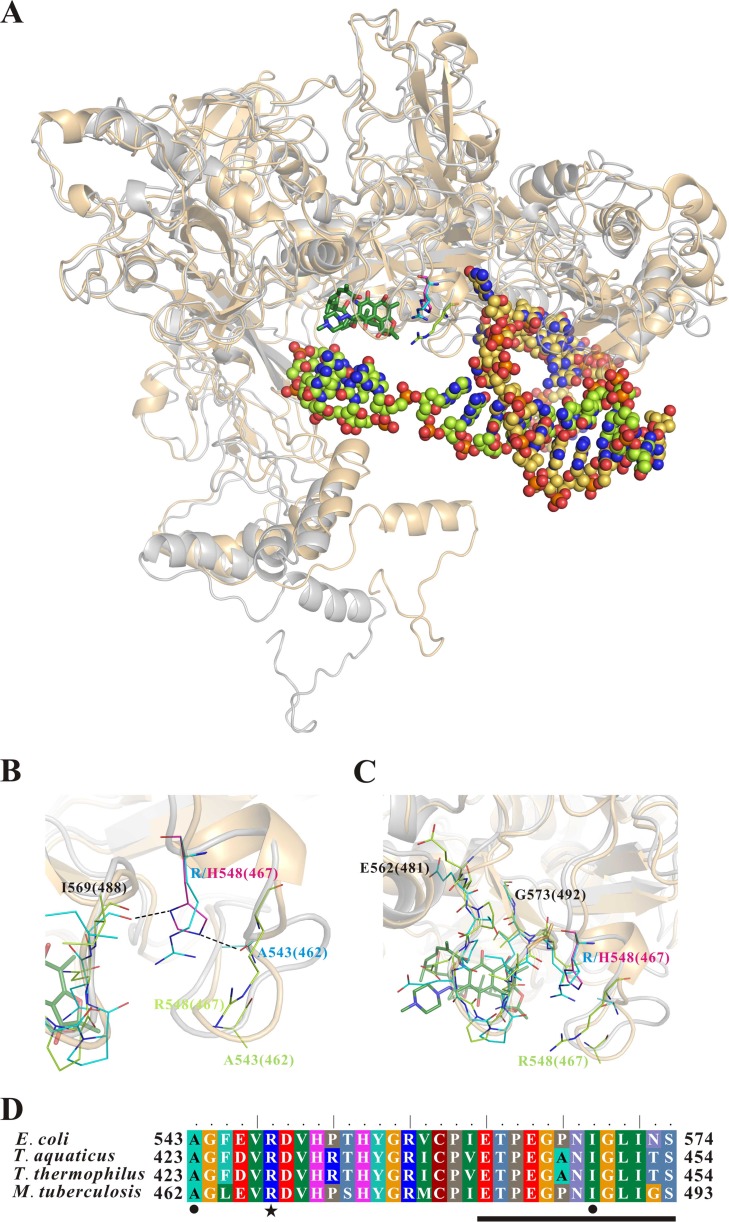 FIG 1