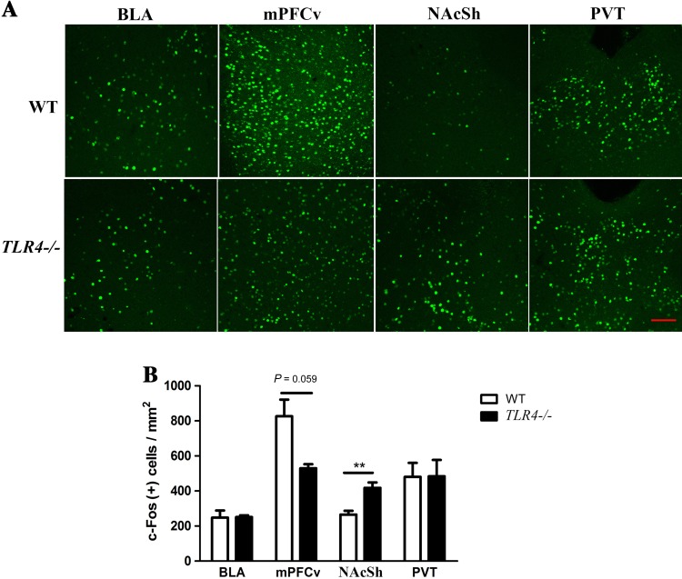 Fig. 4