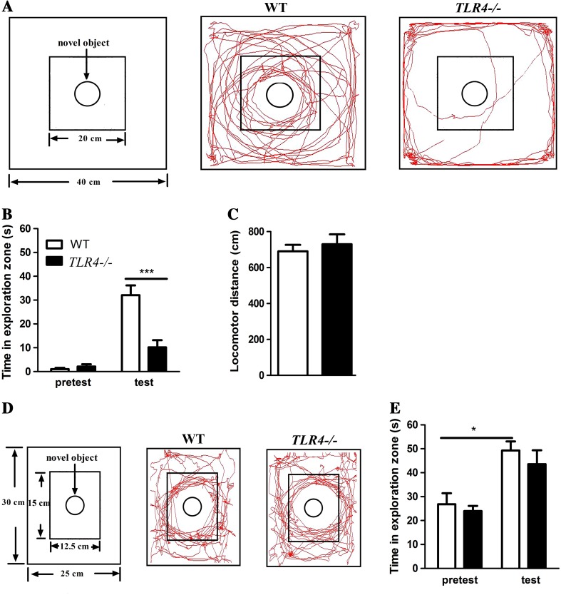 Fig. 1