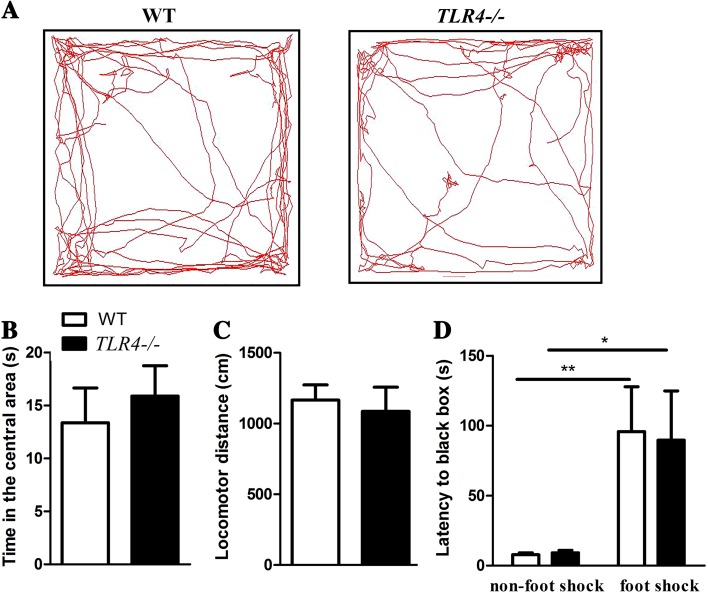 Fig. 2