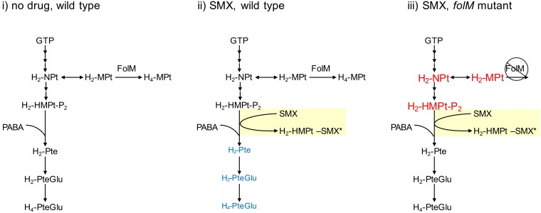 FIG 1 