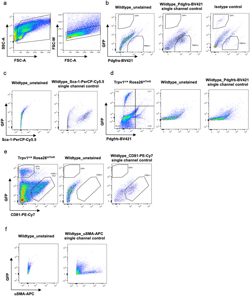 Extended Data Fig. 5