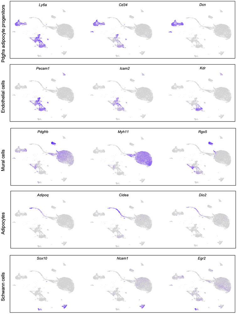 Extended Data Fig. 1