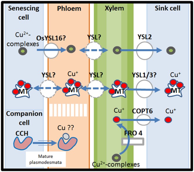 FIGURE 3