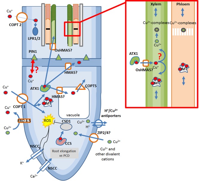 FIGURE 2