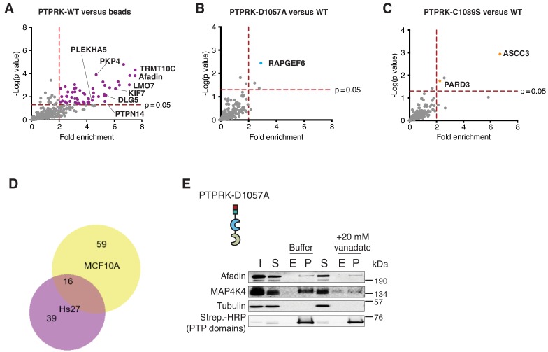 Figure 2—figure supplement 2.