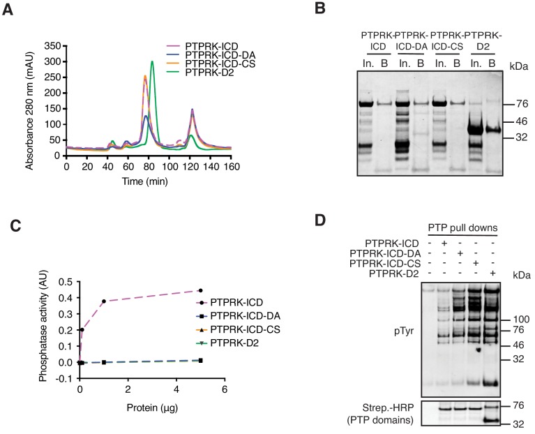 Figure 2—figure supplement 1.