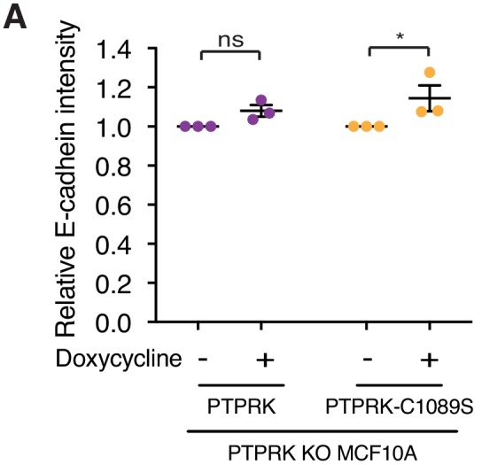 Figure 7—figure supplement 2.