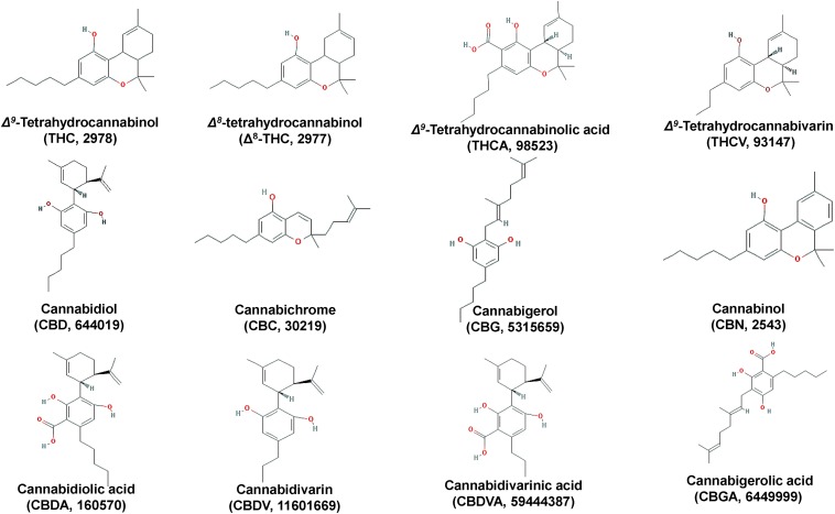 FIGURE 3